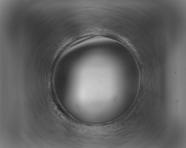 X0000052940010200507151655