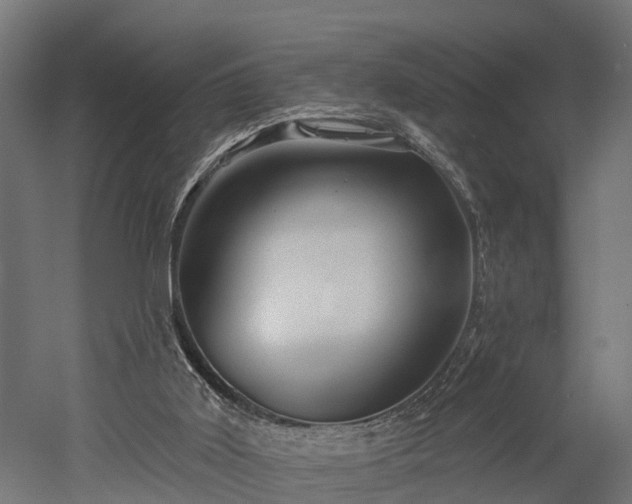 X0000052940011200507151655