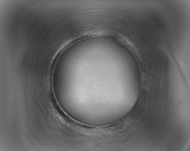 X0000052940012200507151655