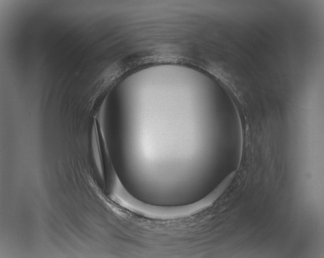 X0000052940013200507151655