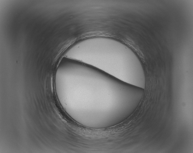 X0000052940014200507151655