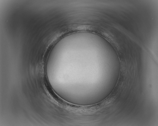 X0000052940016200507151655