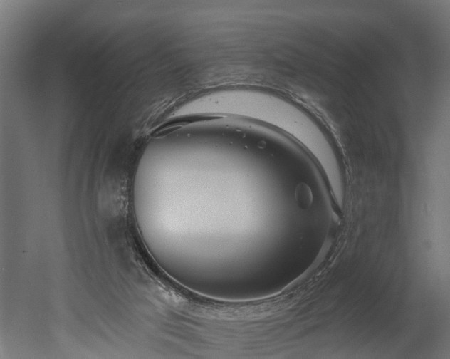 X0000052940017200507151655