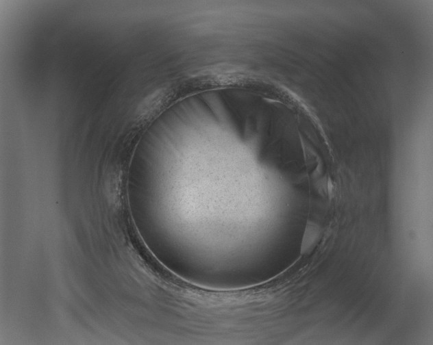 X0000052940018200507151655