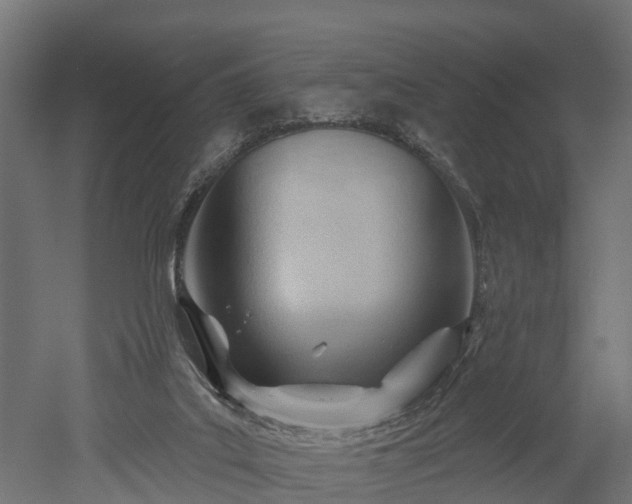 X0000052940019200507151655