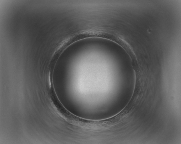 X0000052940020200507151655