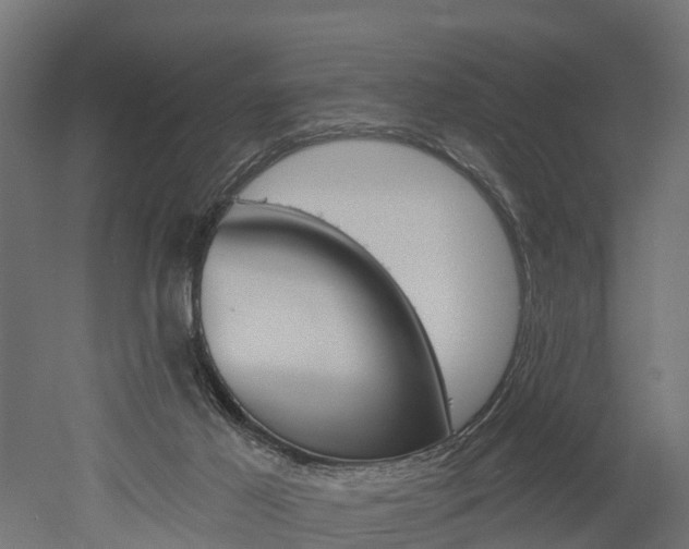 X0000052940021200507151655