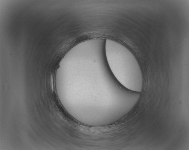 X0000052940022200507151655