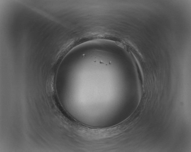 X0000052940023200507151655