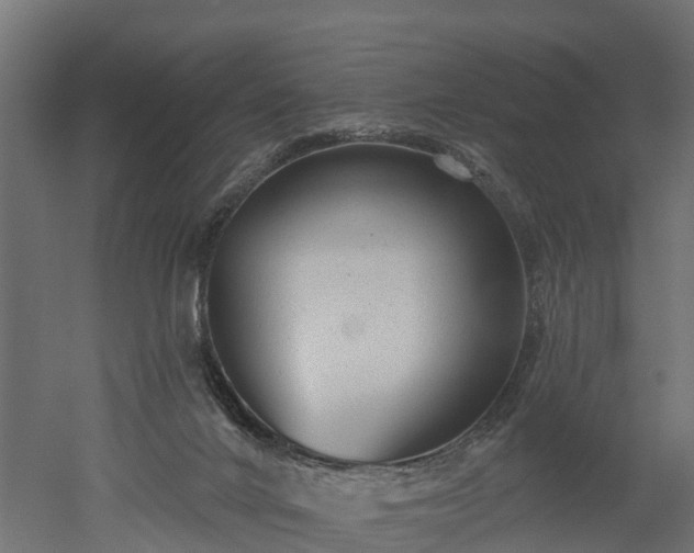 X0000052940024200507151655