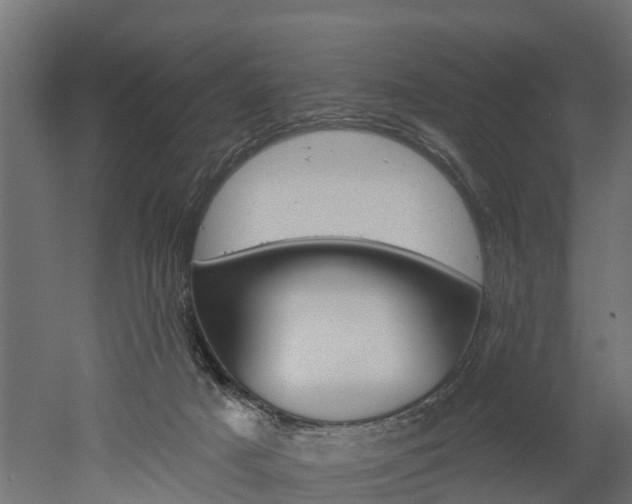 X0000052940025200507151655