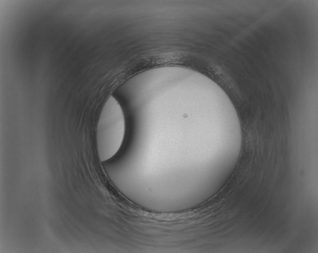 X0000052940026200507151655