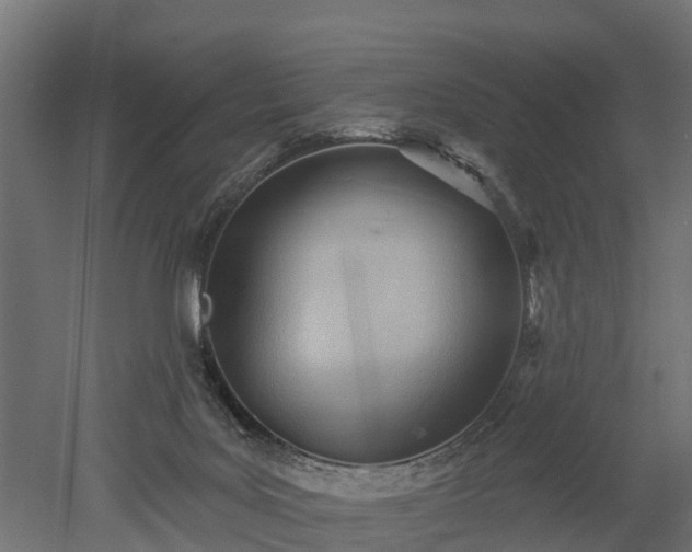 X0000052940027200507151655