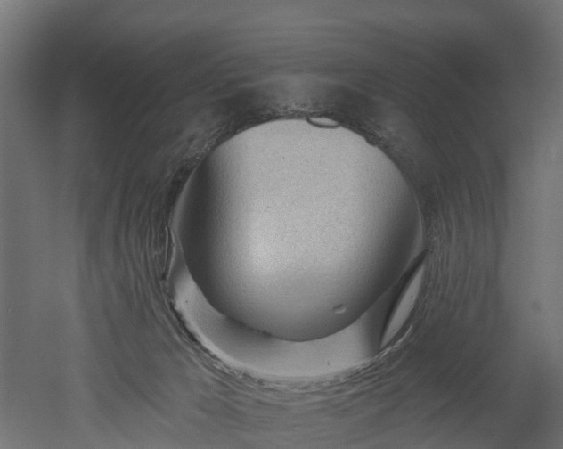 X0000052940029200507151655