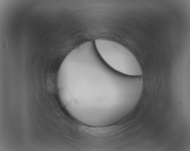 X0000052940030200507151655