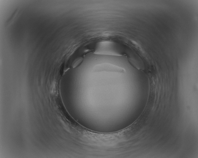 X0000052940031200507151655