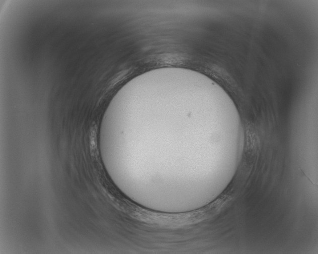 X0000052940032200507151655