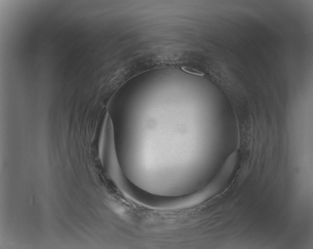 X0000052940033200507151655