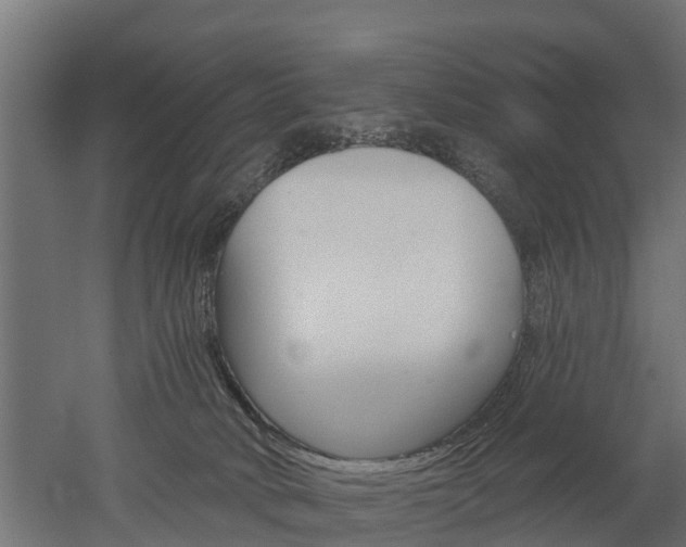 X0000052940034200507151655