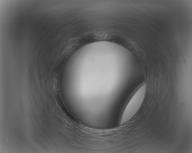 X0000052940035200507151655