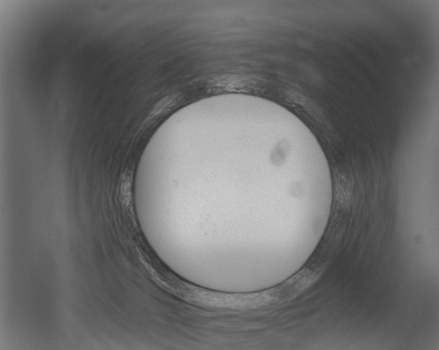 X0000052940036200507151654