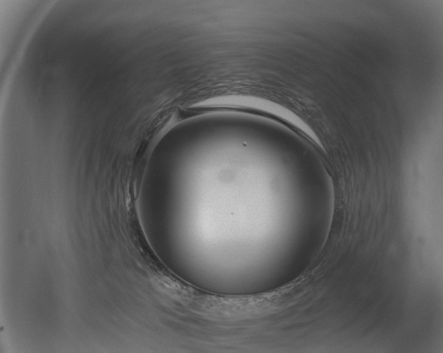 X0000052940037200507151654