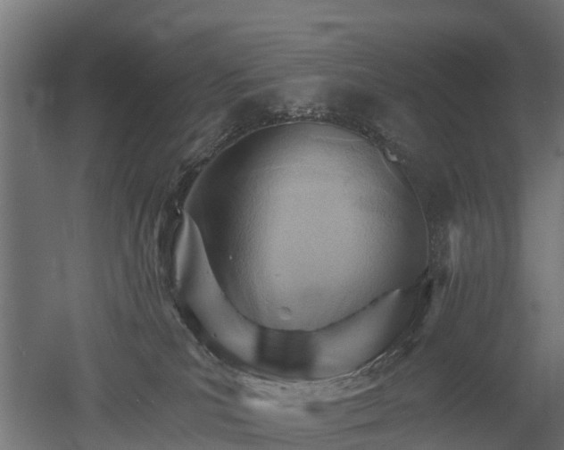 X0000052940039200507151654