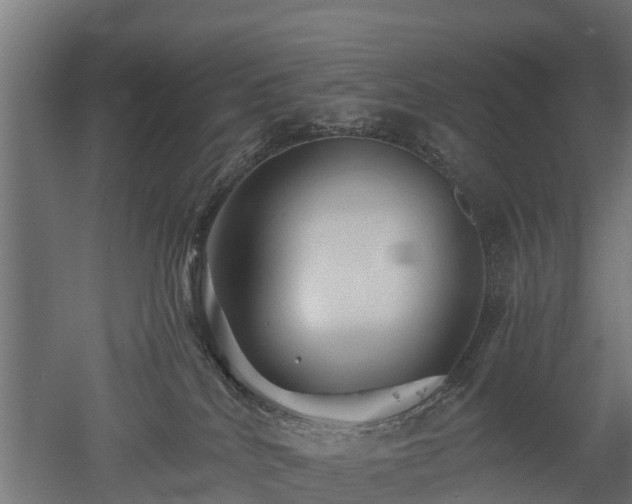 X0000052940040200507151654