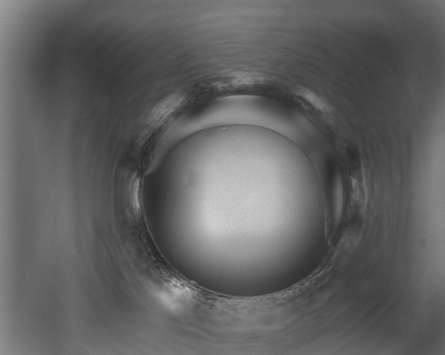 X0000052940041200507151654