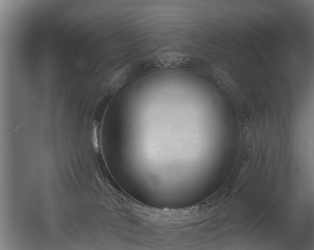 X0000052940042200507151654