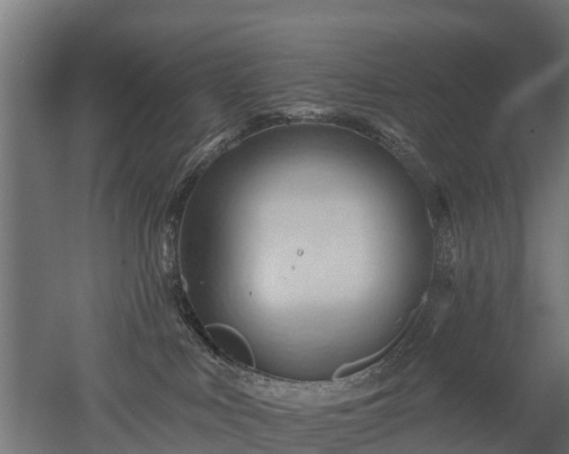 X0000052940043200507151654