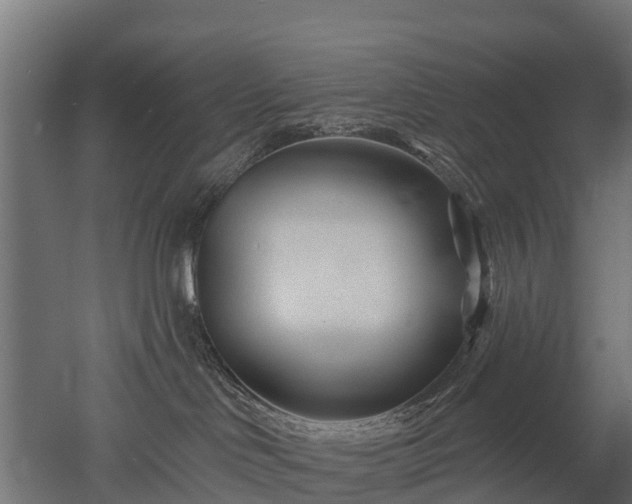 X0000052940046200507151654