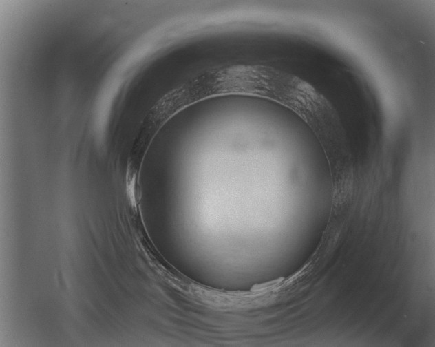 X0000052940047200507151654