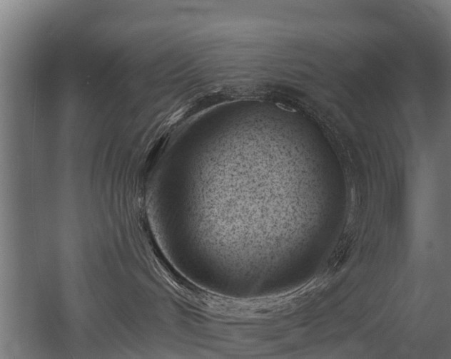 X0000052940048200507151654