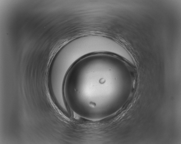 X0000052940049200507151653