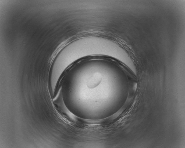 X0000052940051200507151654