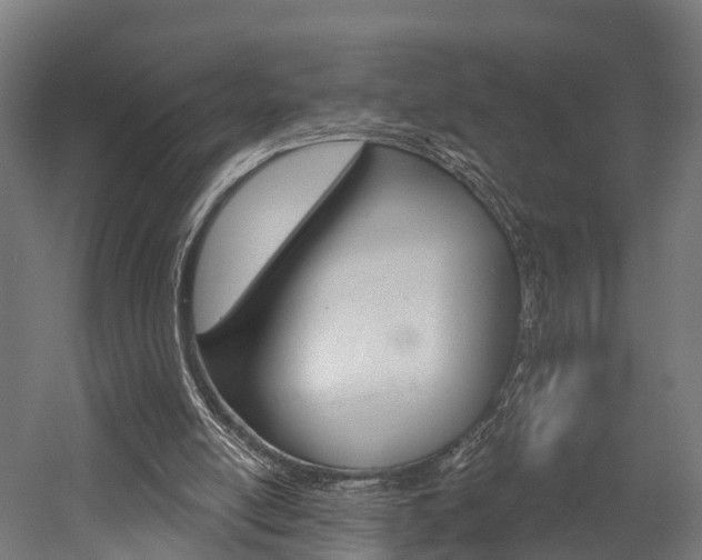 X0000052940054200507151654