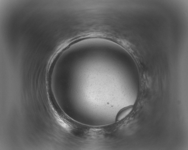 X0000052940055200507151654