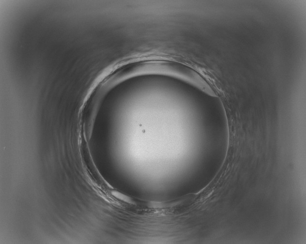 X0000052940056200507151654