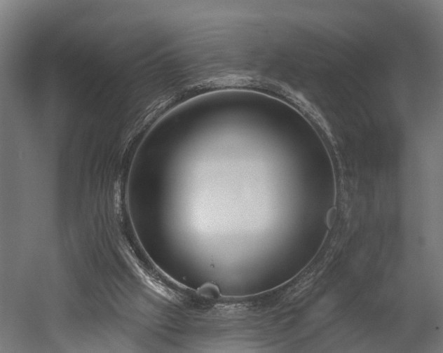 X0000052940057200507151654