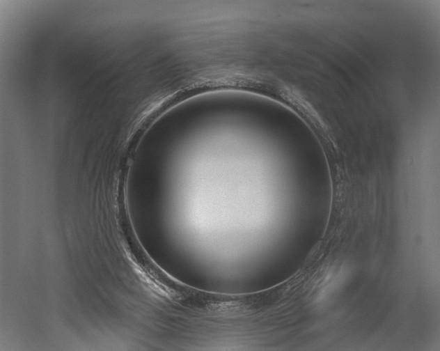 X0000052940058200507151654