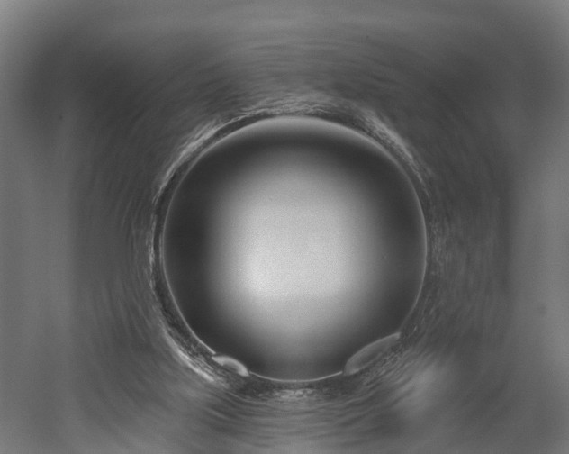 X0000052940059200507151654