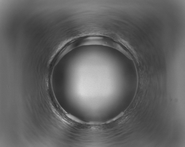 X0000052940060200507151654