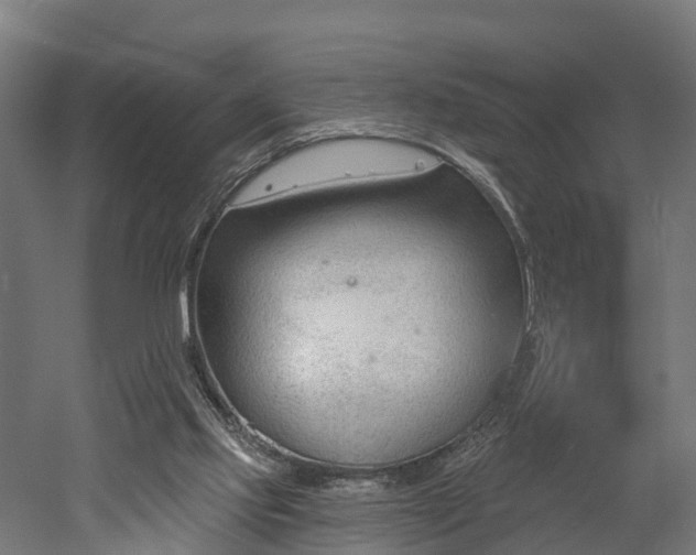 X0000052940061200507151654