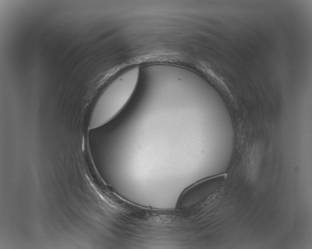 X0000052940062200507151654