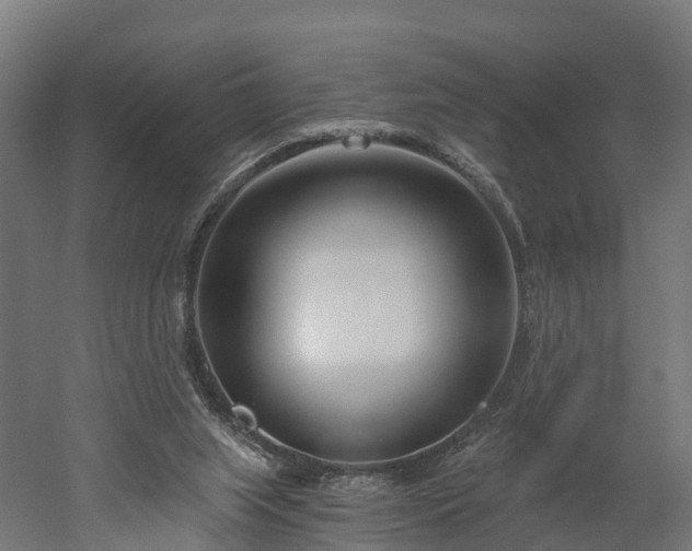 X0000052940063200507151654