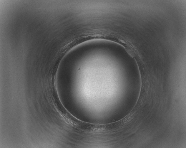 X0000052940066200507151654