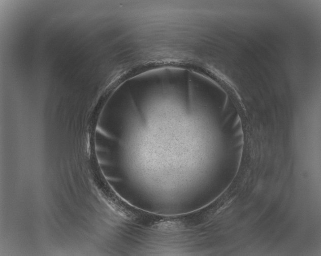 X0000052940067200507151654