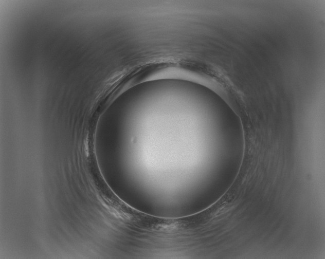 X0000052940068200507151654