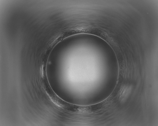 X0000052940070200507151654